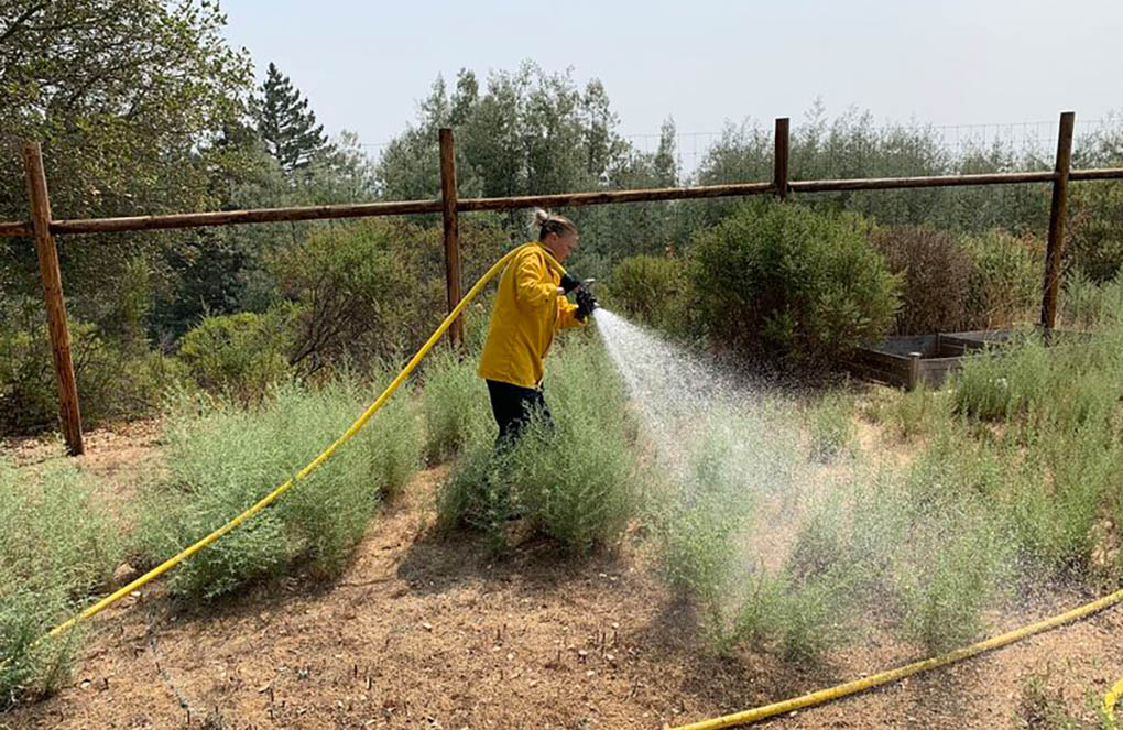 water hosing