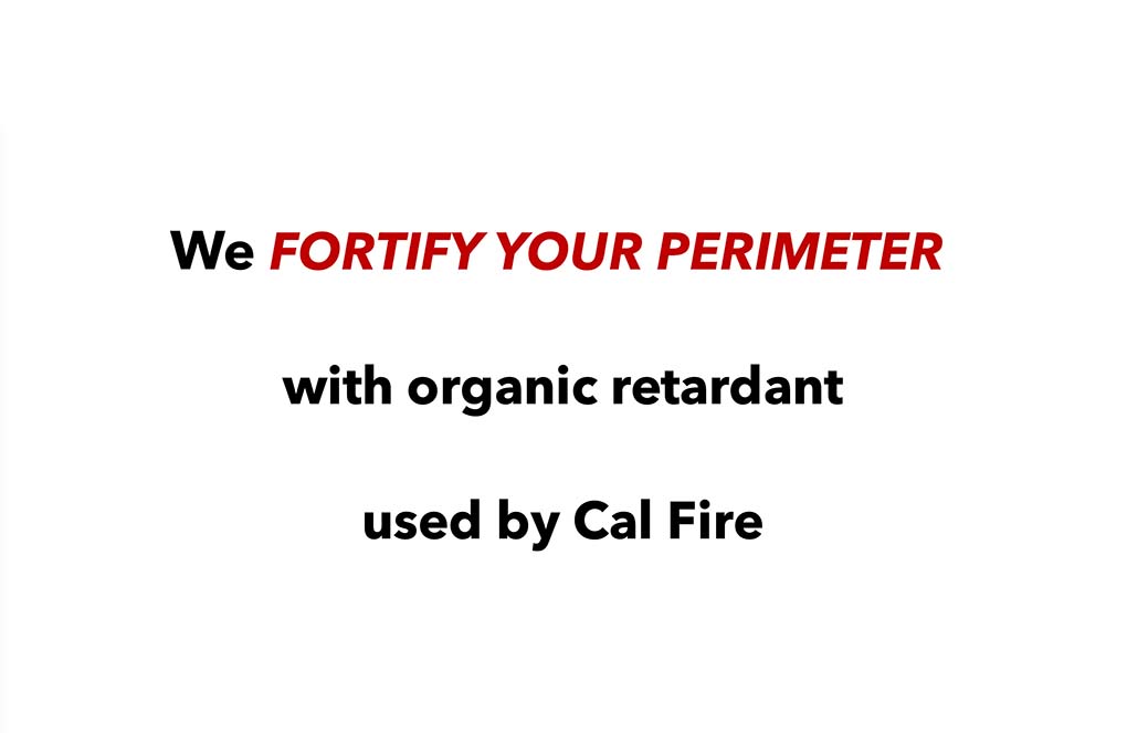 we fortify